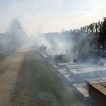 haagbrand-begraafplaats-schoten